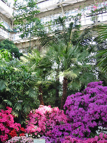 Schlossgarten des Schloss Schönbrunn