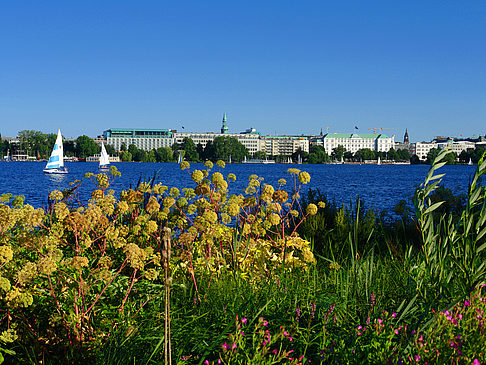 Fotos Blick nach Osten von der Außenalster