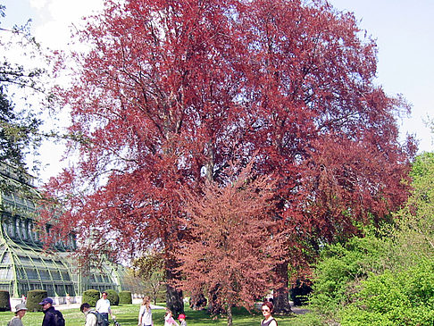 Schlossgarten des Schloss Schönbrunn