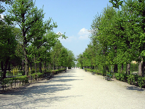 Fotos Schlossgarten des Schloss Schönbrunn | Wien