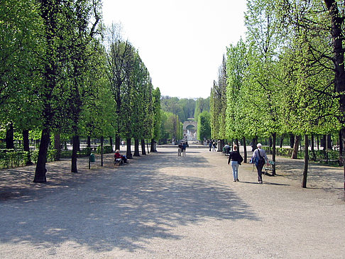 Fotos Schlossgarten des Schloss Schönbrunn | Wien