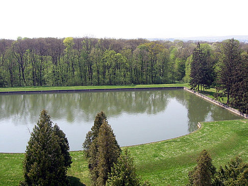 Foto Schlossgarten des Schloss Schönbrunn - Wien