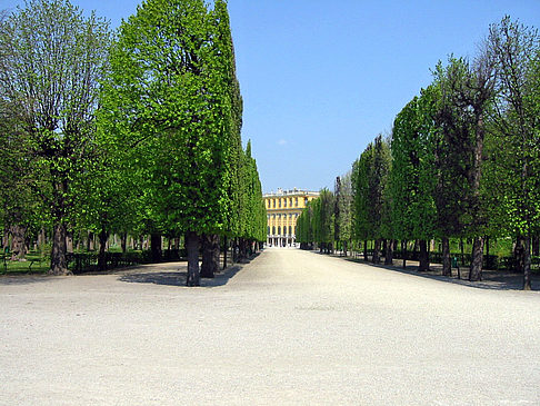 Foto Schlossgarten des Schloss Schönbrunn