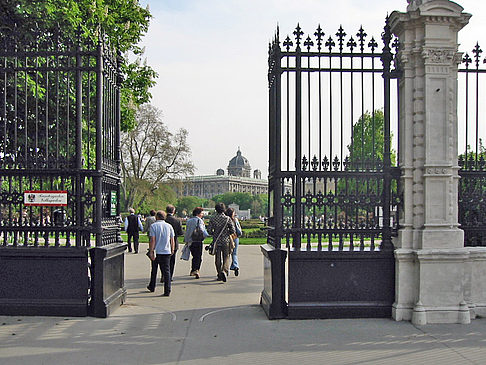 Volksgarten in Wien Foto 