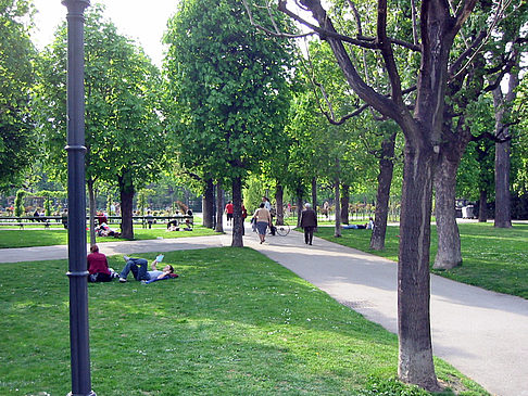 Volksgarten in Wien Fotos