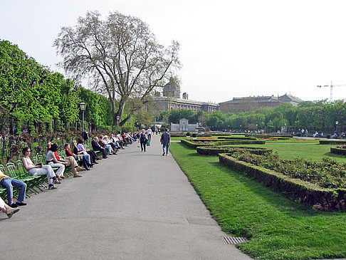 Foto Volksgarten in Wien