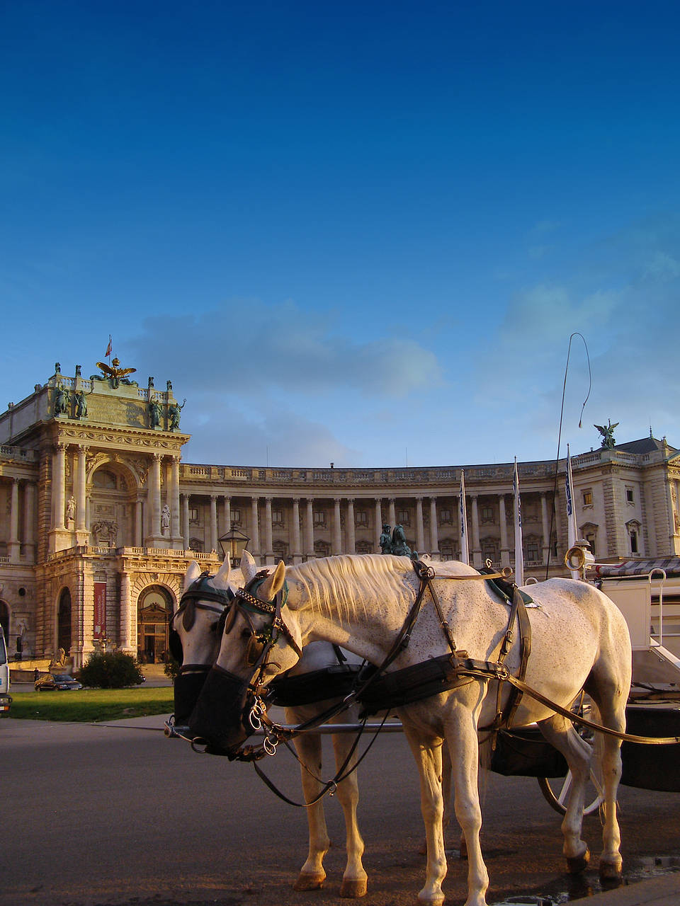 Foto Ein Tag in Wien