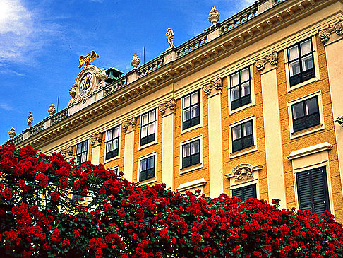 Fotos Schönbrunner Schloss 